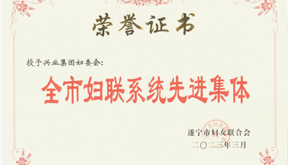 喜報(bào)！興業(yè)集團(tuán)婦委會(huì)榮獲“全市婦聯(lián)系統(tǒng)先進(jìn)集體”榮譽(yù)稱號(hào)